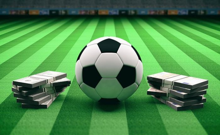 Panduan Dasar untuk Pemula Judi Bola agar Menang Konsisten